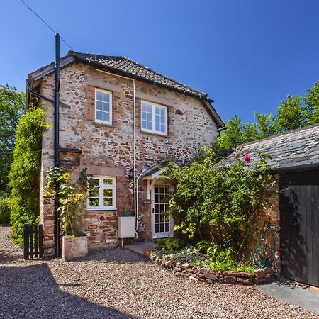 Luccombe Cottage Luccombe 外观 照片